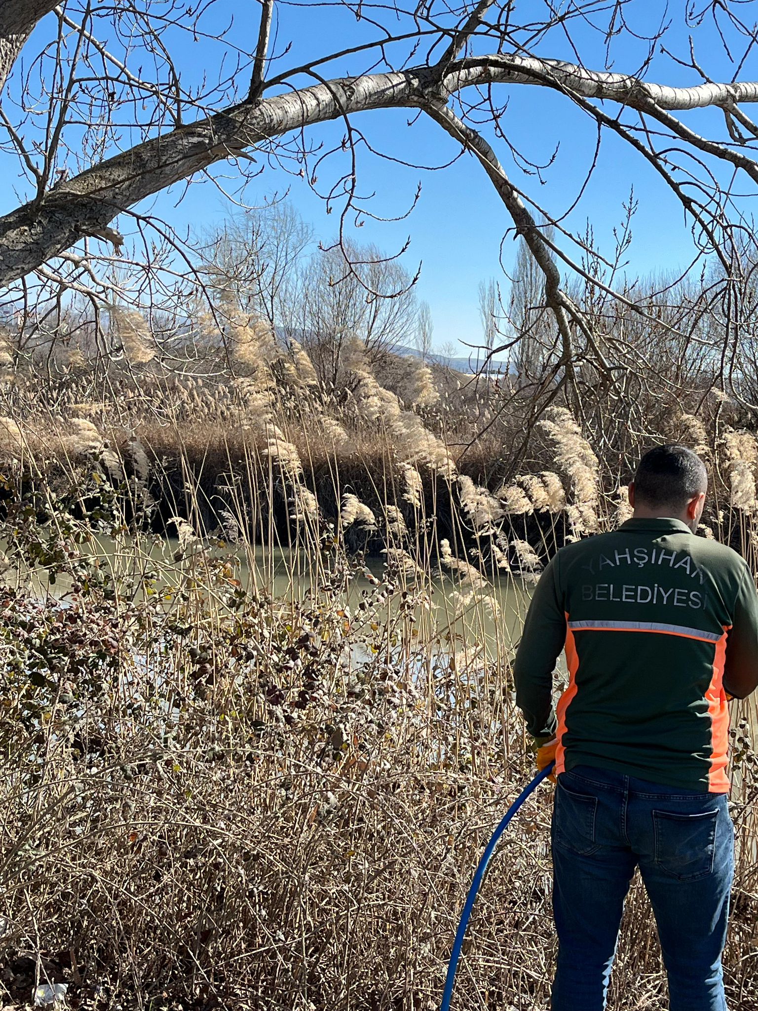 sivrisinek-ve-haserelere-karsi-onleyici-ilaclama-calismalarimiz-devam-ediyor