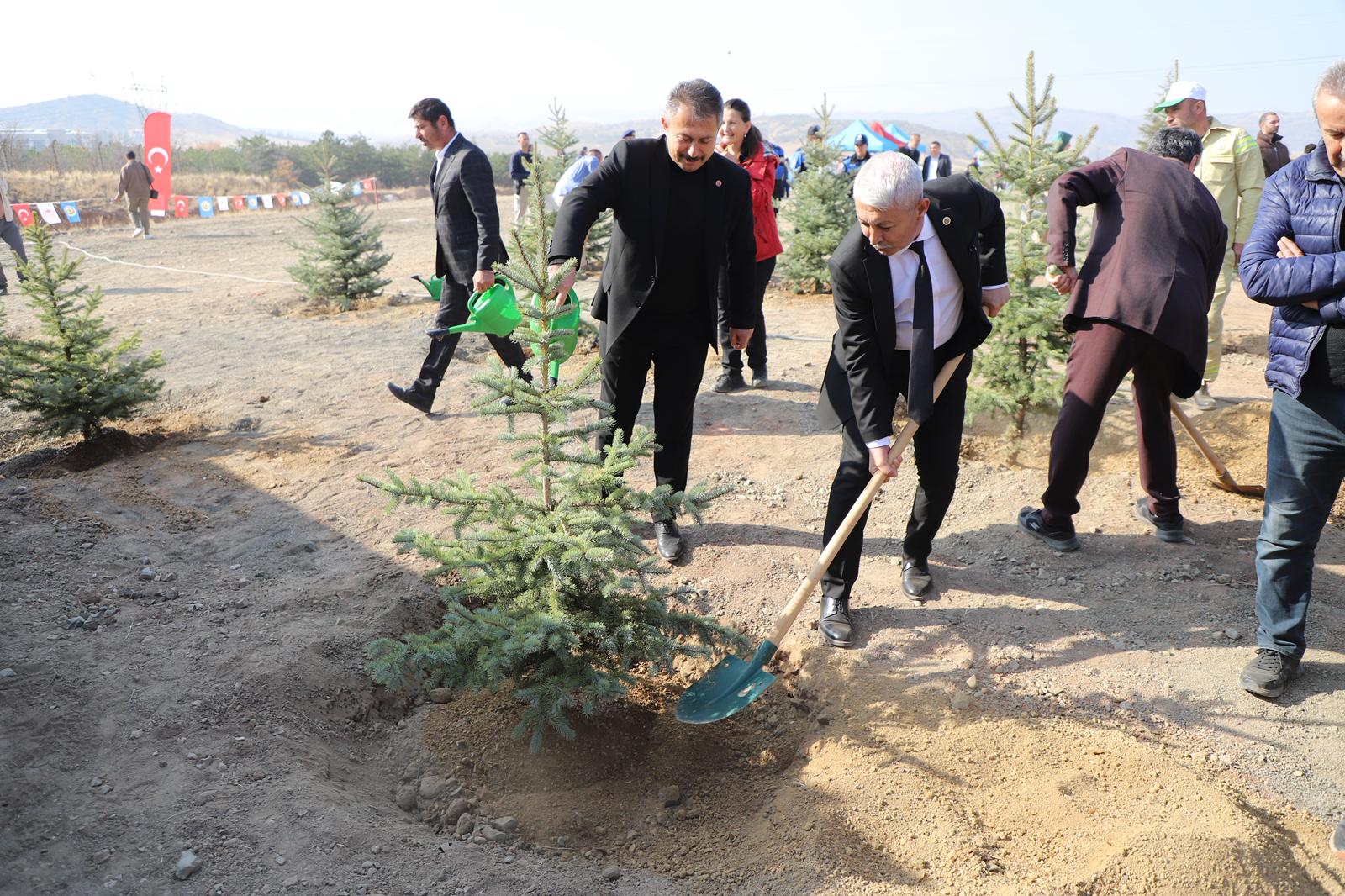 agaclandirma-gunu-kapsaminda-ilcemizi-yeni-fidanlarla-bulusturduk